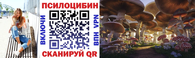 где найти Горячеводский Псилоцибиновые грибы мухоморы